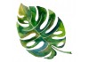 Sticker feuille palmier aquarelle