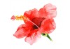 Sticker fleur aquarelle