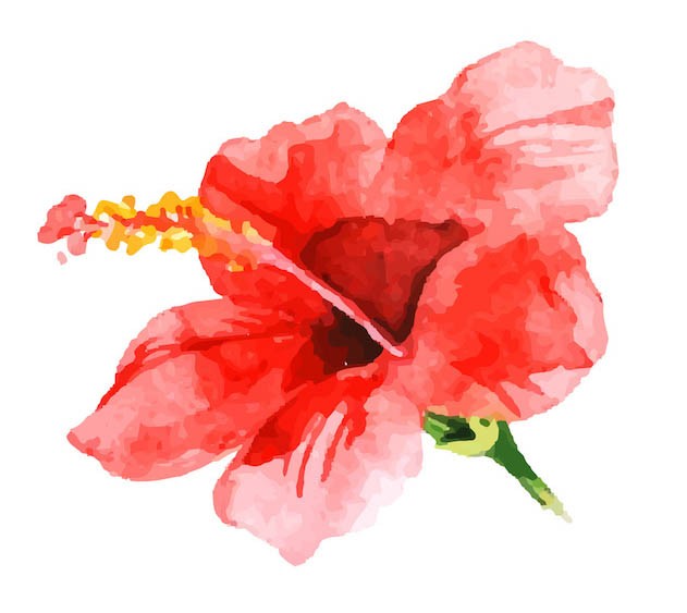 Sticker fleur aquarelle rouge - le-monde-du-stickers.fr