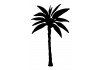 Sticker palmier noir