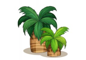 Sticker gros palmiers