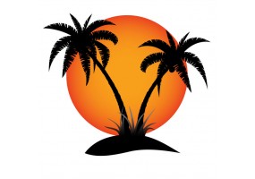 Sticker palmiers couché soleil