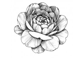 Sticker pivoine noir blanc deco