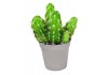 Sticker cactus