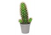 Sticker cactus