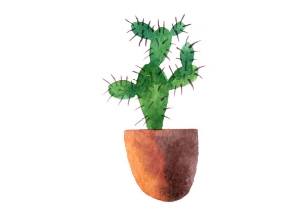 Stickers muraux plantes cactus aquarelles