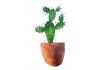 Sticker plante verte