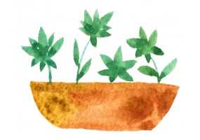 Sticker plante verte