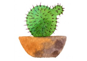 Sticker cactus