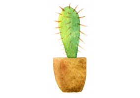 Sticker cactus