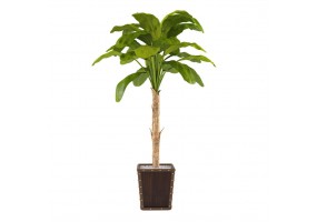 Sticker plante verte