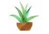 Sticker plante verte aquarelle