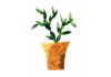 Sticker plante verte aquarelle