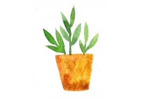 Sticker plante verte aquarelle