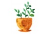 Sticker plante verte aquarelle