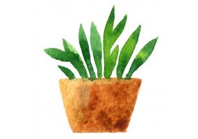 Sticker plante verte aquarelle