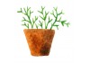 Sticker plante verte aquarelle