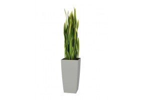 Sticker plante verte