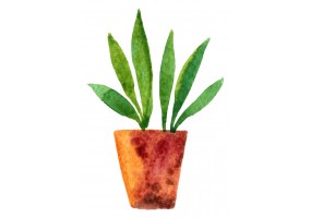 Sticker plante verte