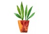 Sticker plante verte