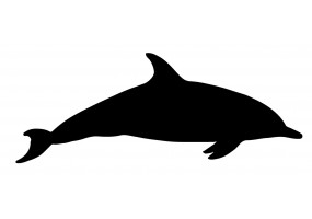 Sticker dauphin noir