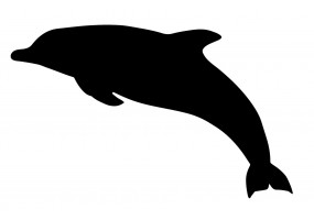 Sticker dauphin noir silhouette