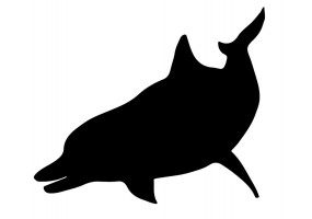 Sticker dauphin noir