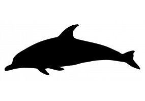 Autocollant dauphin noir