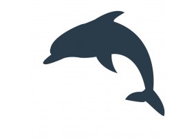 Sticker petit dauphin