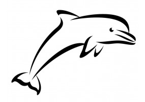 Stickers muraux dauphin