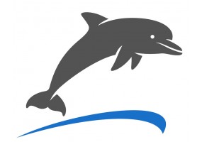 Sticker mural dauphin saute