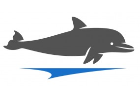 Sticker dauphin surfe