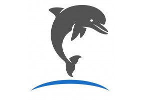 Sticker dauphin en saut