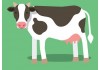 Sticker vache de la ferme