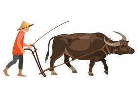 Sticker paysan tire par vache