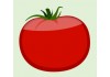 Sticker tomate deco