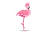 Sticker flamant rose