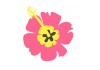 Sticker fleur des iles