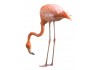 Sticker flamant rose