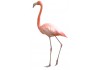 Sticker flamant rose