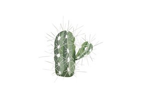 Sticker cactus