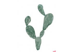 Sticker cactus