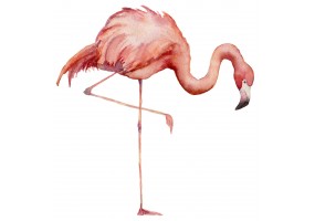 Sticker flamant rose