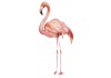 Sticker mural flamant rose aquarelle