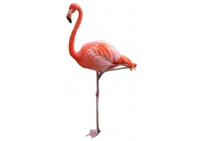 Sticker flamant rose