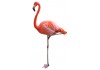 Sticker flamant rose