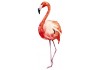 Sticker flamant rose aquarelle geant