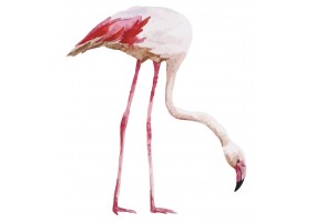 Sticker flamant rose aquarelle XXL