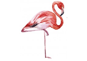 Sticker flamant rose aquarelle