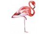 Sticker flamant rose aquarelle